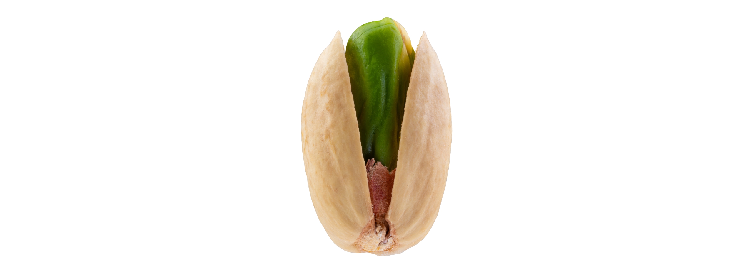 پسته خندان